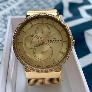 Skagen Gold Mesh Watch